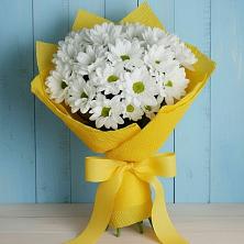 Букет цветов из:  Хризантемы в Красный