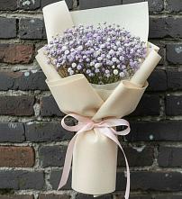 Букет цветов из:  Гипсофила #REPLACE_PRED# Красный