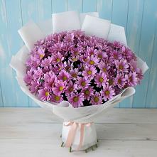 Букет цветов из:  Хризантемы в Красный