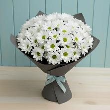 Букет цветов из:  Хризантемы в Красный