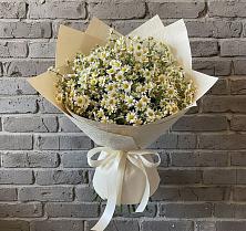 Букет цветов из:  Ромашки #REPLACE_PRED# Красный
