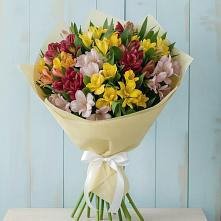 Букет цветов из:  Альстромерии в Красный